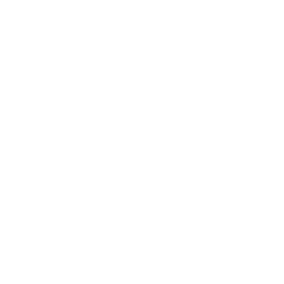 PARTNERS